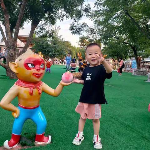 体智轮舞初体验