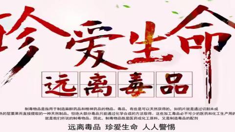 美兰区“珍爱生命 远离毒品”国旗下禁毒宣誓活动集锦（一）