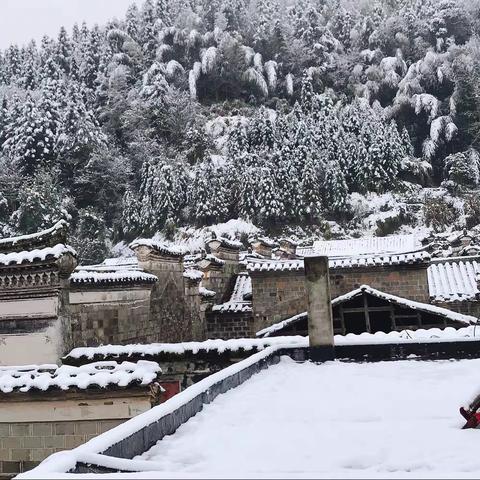 洲湖新春瑞雪