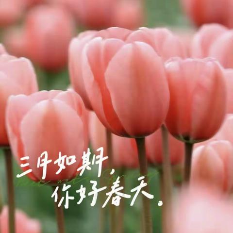 《春暖花开 为你而来💕》润亿东达——跳跃一班