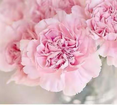 教师节快乐！致闻会家人的一封家书