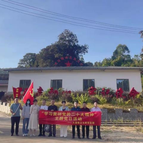 赓续红色血脉，续写时代华章——大溪卫生院党支部开展学习党的二十大精神主题党日活动