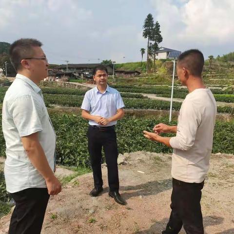 湖源乡优化营商环境，助力绿色产业经济