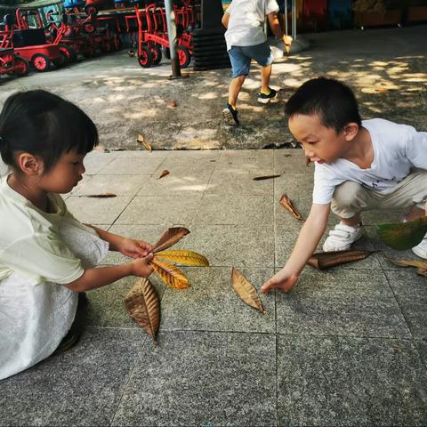 灯塔园中班段主题课程——探秘秋天