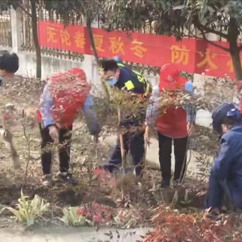 春风十里植新绿  朝气蓬勃显生机