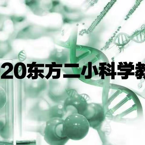 『涧西区东方第二小学』线上课堂不停学，名师我师共研习(科学篇)