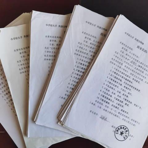 小手拉大手，志愿我先行 ——蓟州区第二中学“双创”活动之志愿服务篇