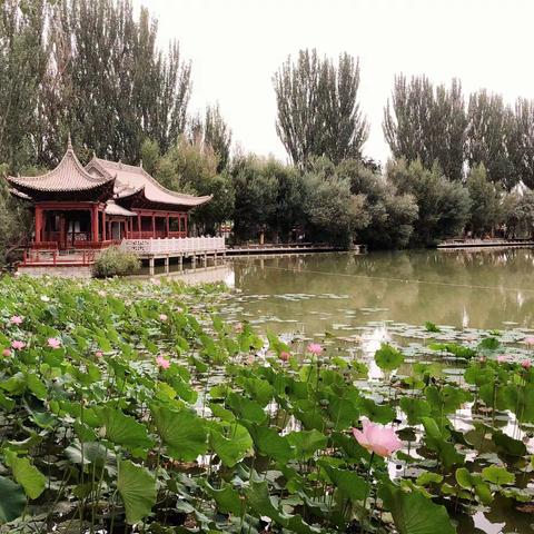 行走问道，风雨彩虹