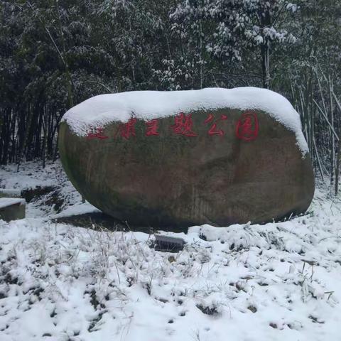 雪中东明湖——记2018年最后一场雪