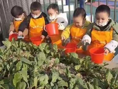 💐【孩子们，放寒假啦！老师好想念您们哟】👫雅礼幼儿园小三班（副本）