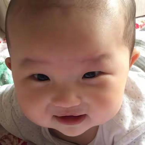 家有小萌娃，欢乐一家心