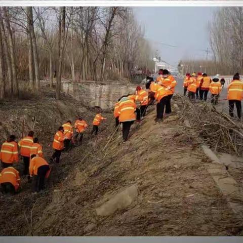 红旗区小店镇农村环境整治工作汇报 (1月19日）