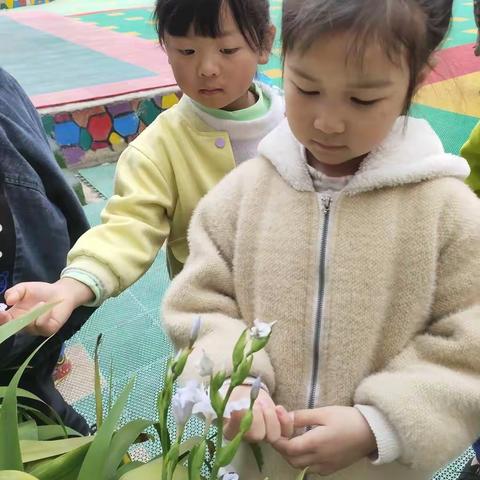 🌈多贝利幼儿园——大一班美好一周回顾🌻