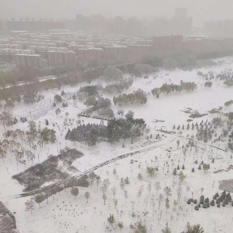 2021年的第一场雨雪