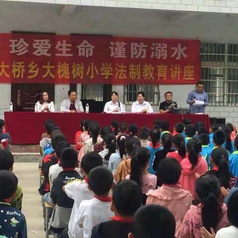 大桥乡大槐树小学法制进校园