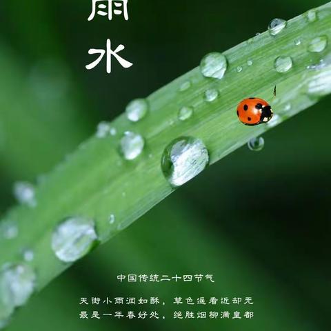 【新教育 聆听窗外声音】春意萌动，“雨”你相遇 ––双沟镇第二幼儿园“雨水”活动