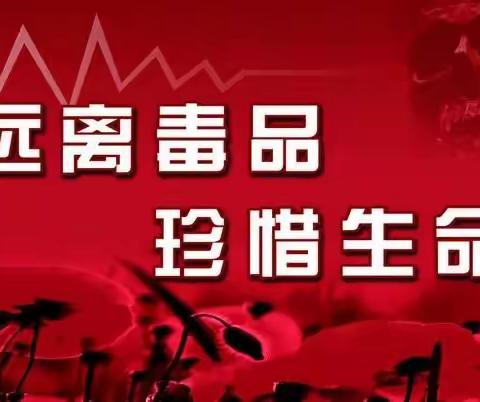 都匀市第三幼教集团党支部——禁毒宣传教育