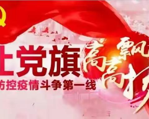 示范区党员干部助力玉露社区疫情防控