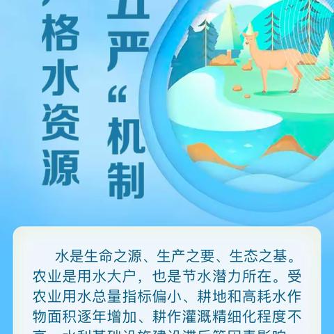 【碑林教育】碑林区仁厚庄小学最严格水资源宣传