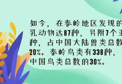 【碑林教育·仁厚庄小学】致家长和同学们的一封秦岭生态保护倡议书