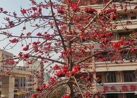 携手战疫情，学习不耽误。