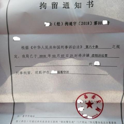 精细化辩护，黄金救援期37天内，律师密集提交四份辩护意见，五次会见及当面沟通，第2⃣️8⃣️天获取保
