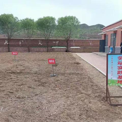 朱碌科镇七台营子村小学隆重举行“劳动实践基地”揭牌暨开耕仪式