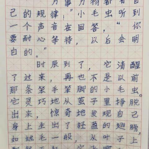 新天学校二（5）班第二学期期末硬笔字能力测评