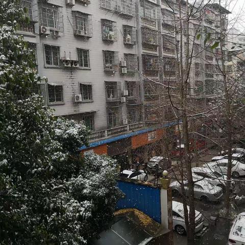 南方的雪