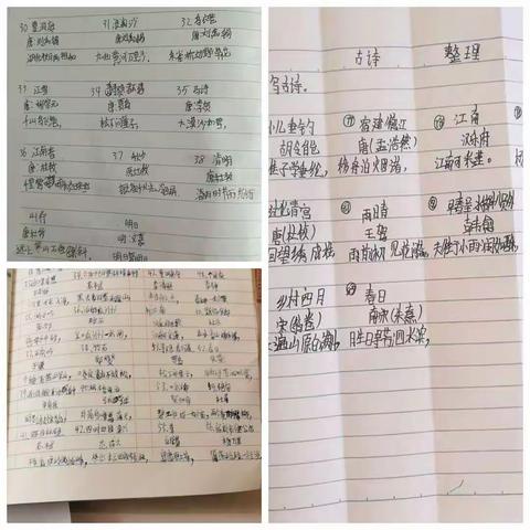 传承文化经典，感悟诗词魅力 新城子小学 六2班