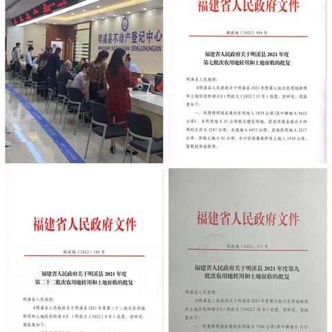 深入实施“三提三效”行动  促进自然资源管理提质增效