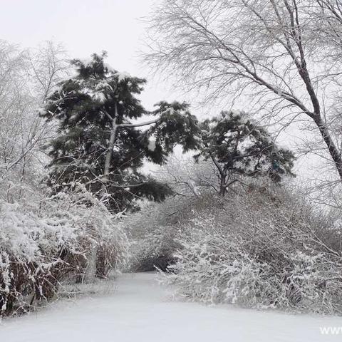 雪后街拍