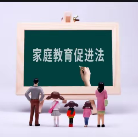 学习《家庭教育促进法》          教你带娃