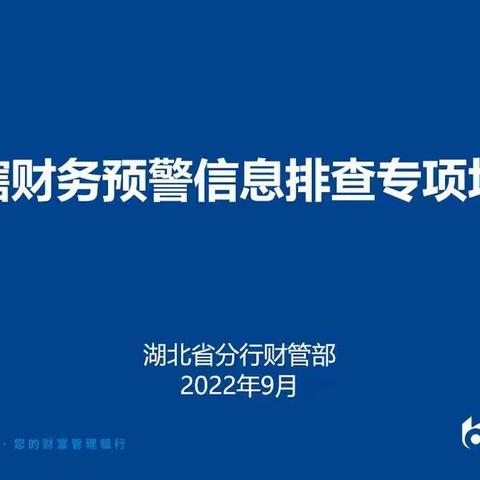 湖北省分行举办全辖财务预警信息排查专项培训班