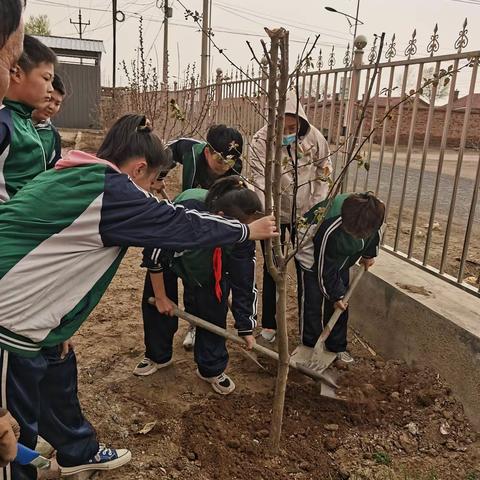 大手拉小手植树活动黑水希望小学