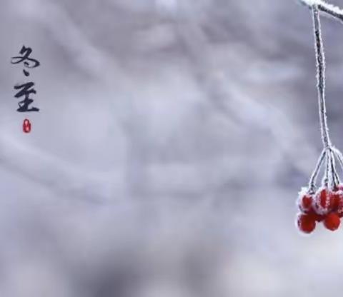 情暖冬至，饺子飘香——殷都区铜冶镇铜冶小学教师喜迎冬至包饺子