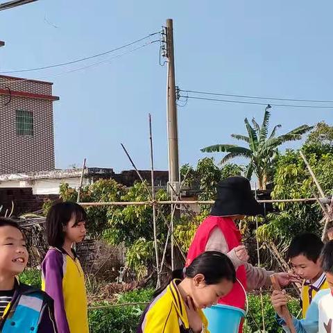 学雷锋精神，做雷锋式好少年——记白藤湖幸福小学少先队员志愿活动