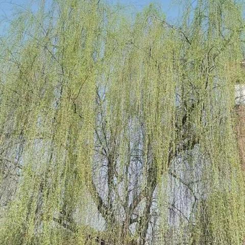 行政推门进课堂   ，指导交流促成长