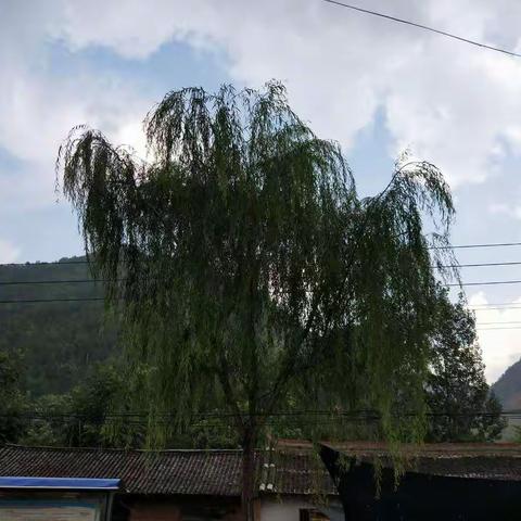 风雨兼程扶贫路