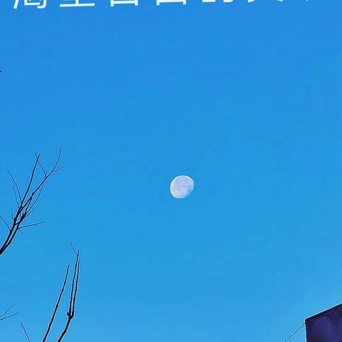 向往……