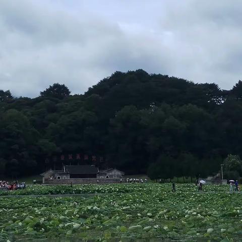 不忘初心、牢记使命  走进红色革命圣地