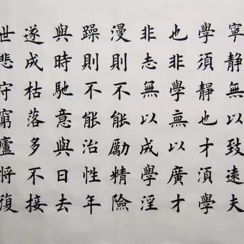 孩子的生长是一场没有回放的直播——记录彭秋枝主席为南区家长解读《家庭教育法》