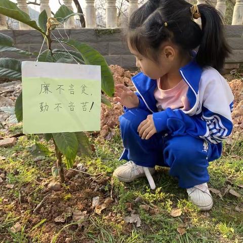 小手拉大手，共植廉洁树