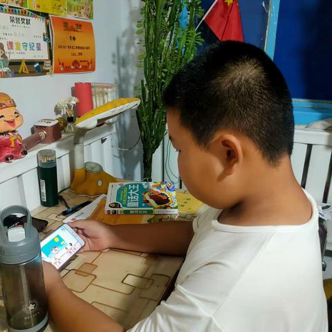 准格尔旗实验小学二（5）中队暑期“向阳”章争章活动掠影。