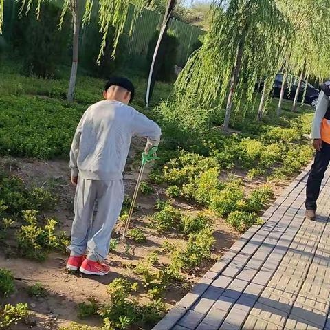 准格尔旗实验小学二（5）中队暑期“小卫士”章争章活动掠影
