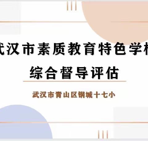 期待教育  静待花开
——青山区钢城十七小通过市素质教育特色学校督导评估