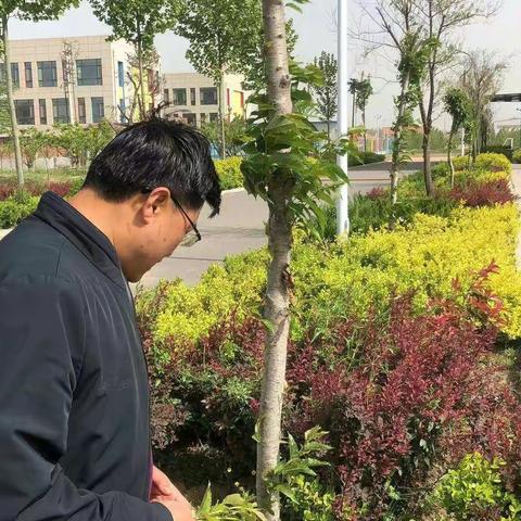 劳动实践出真知，生活历练促成长 ------恒涛实验小学崇文校区劳动实践基地热闹起来了！