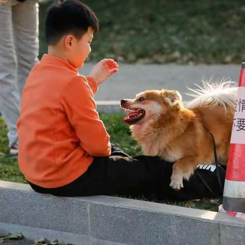 2021年回顾