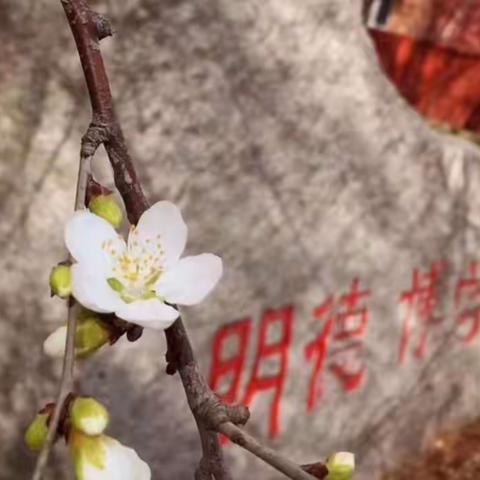自主体验，催生课堂精彩；多向互动，释放生命本色 ——市教研室综合部莅临一实验小学调研视导纪实