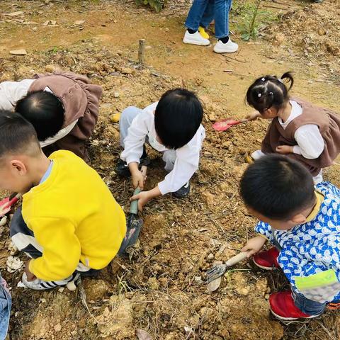 城南生态幼儿园～种植篇